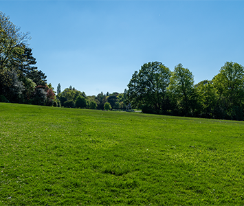 The wonderful scenery in Brinsworth, close to Kimberworth